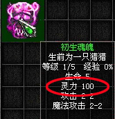 科普魂魄喂养小知识
